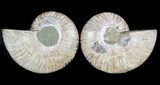 Polished Ammonite Pair - Agatized #45499-1